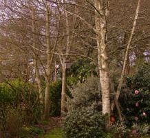 Un après midi dans le jardin...