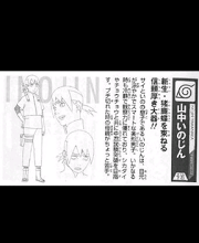 Inojin Yamanaka Databook