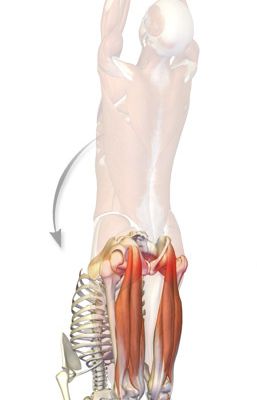 RESOLVER LESOES DOS ISQUIOTIBIAIS – 4