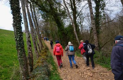 Marche du lundi  25  Mars  2019  Autour FRONTENAS 