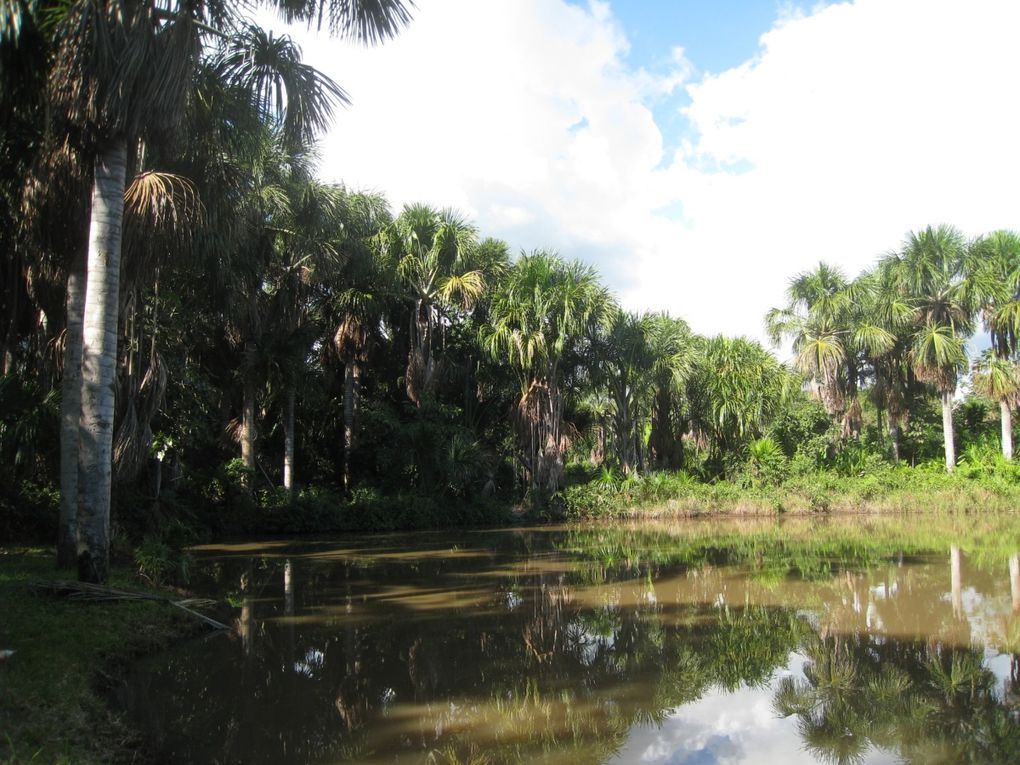 Album - laguna venecia