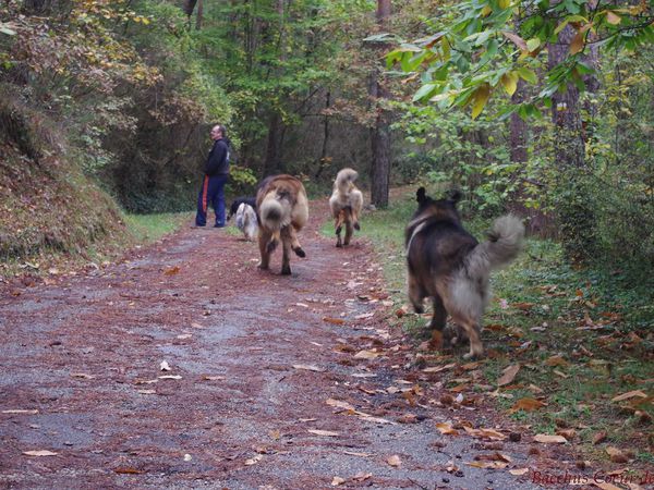 RETROUVAILLES FRATERNELLES ET AMICALES EN ARDECHE