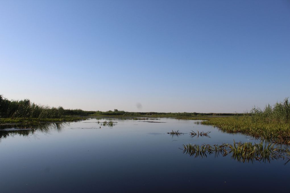 Voyage été 2018 - Roumanie - 3 - Le Delta du danube