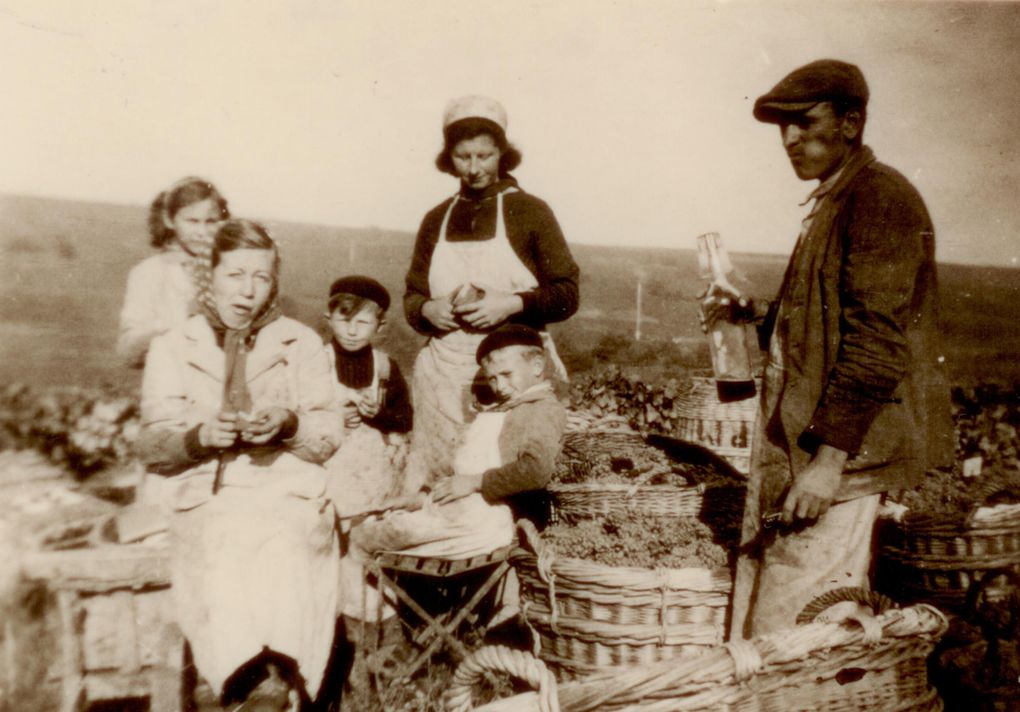 Anciennes photos de famille ou documents liés au Champagne Michel PITHOIS.