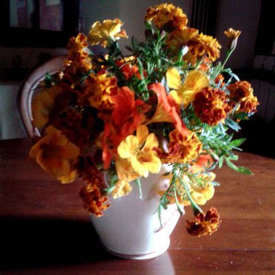 automne