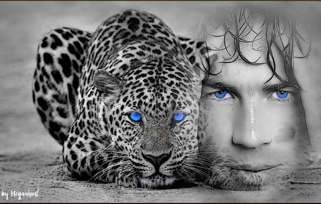 blue eyes, wild and humanity