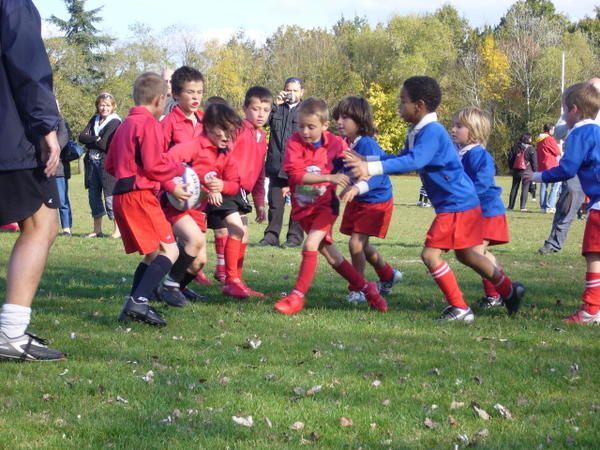 Album - Ecole-de-Rugby