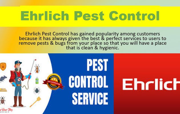 Choose Ehrlich Pest Control to remove Pests and Bugs Permanently