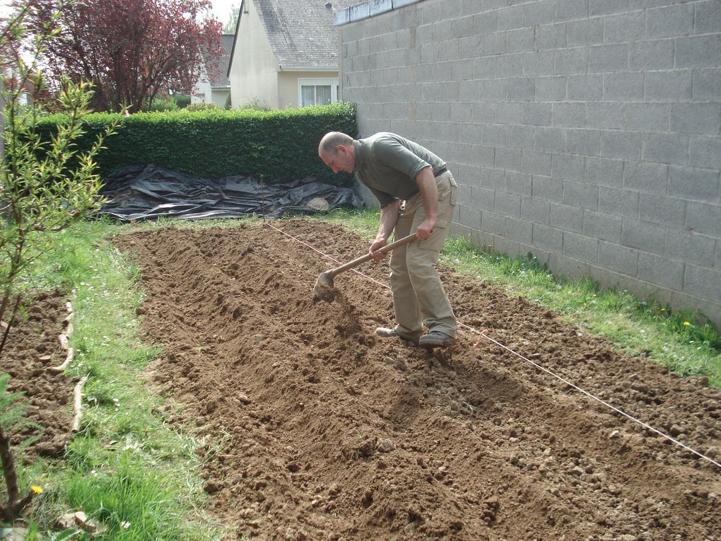 Jardin partagé : saison 2