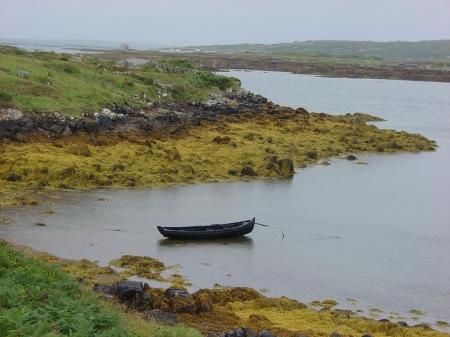  
15 jours le long de la côte ouest de l'île d'Emeraude : des vieilles pierres, des pubs, du vert, la mer et surtout... des moutons (pour eux, voir l'album "bestiaire")! 

copyright photos : Introl pour la plupart et moi pour certaines