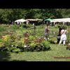 Grospierre, plantes et fleurs en fête (Ardèche)