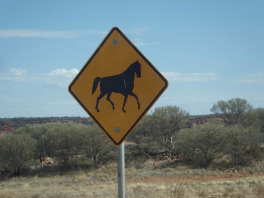 Album - Route vers Kings Canyon et Kings Canyon