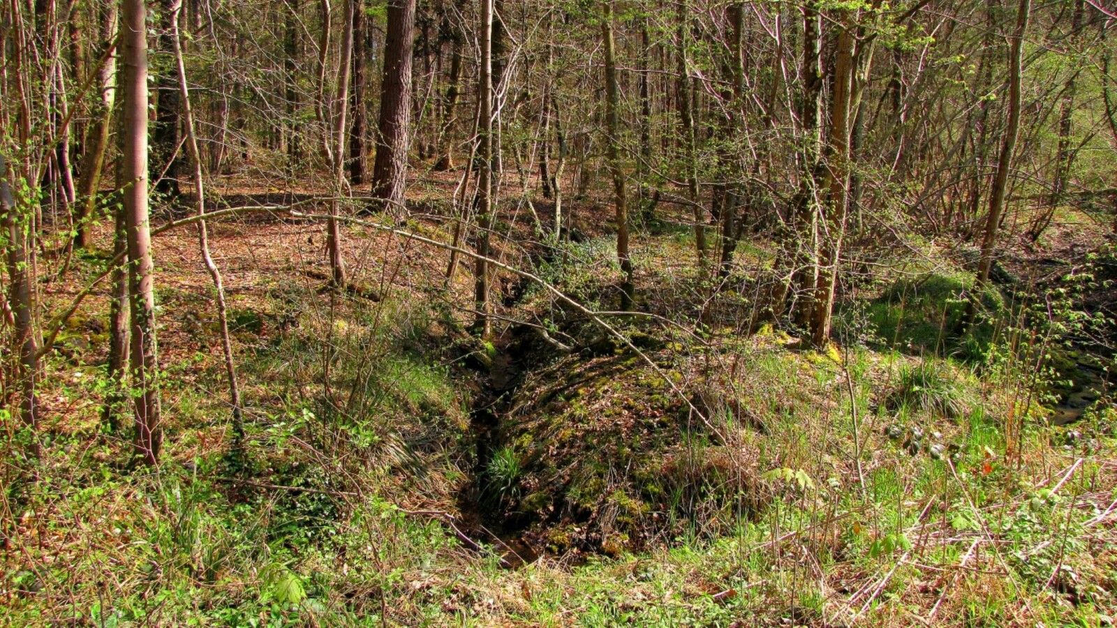 la Route du Grand Octogone