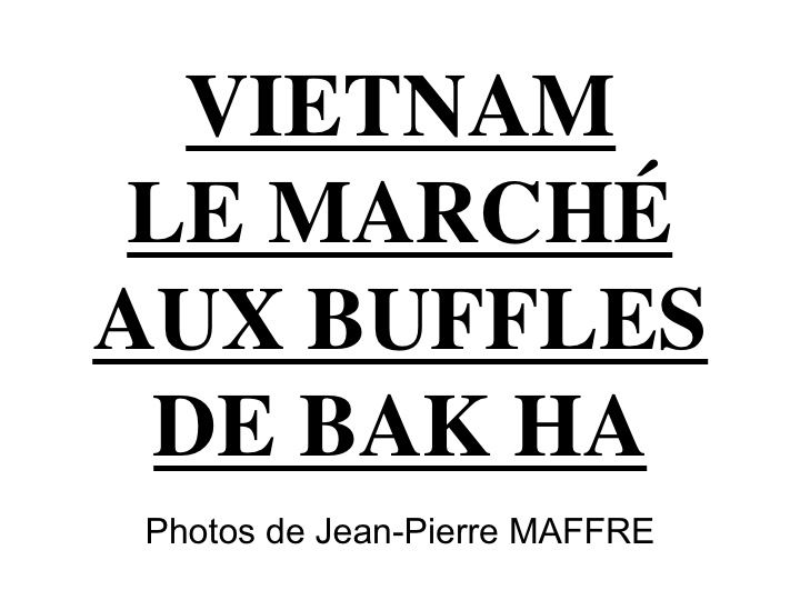 Tenu le Dimanche, le marché de Bac Ha est un rendez-vous attendu des minorités locales ainsi que de 14 ethnies qui peuplent les alentours.