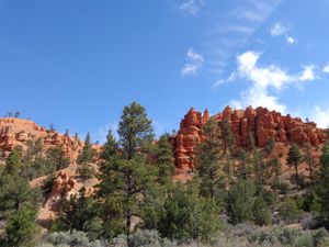 Red Canyon