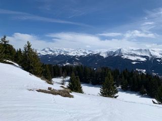 Sur le haut quelques centimètres de neige.