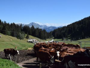 Escapade dans le massif des Bauges 