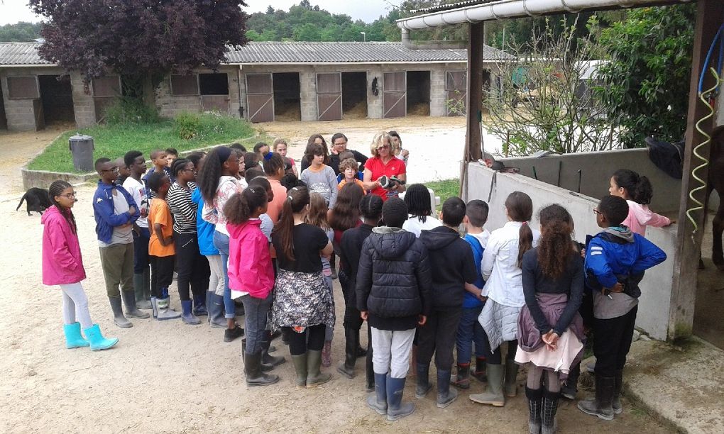 Notre première journée au centre équestre