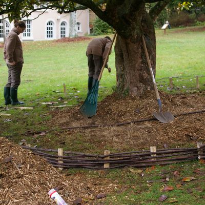 Technique du paillage