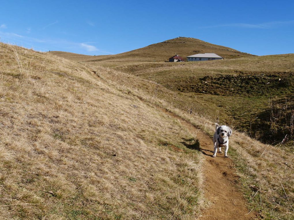 Crêt de l'Aigle 1643m - (Bauges)