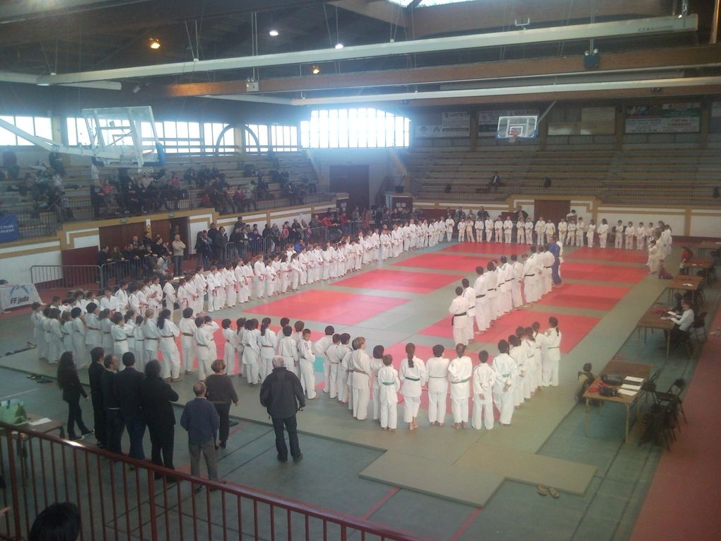 Stage d'arbitre et compétition "4 Saisons " & " Petits Tigres ". Et participation de Frédéric Demontfaucon, champion du monde en 2001 et médaille de bronze aux Jeux Olympiques de Sidney 2000.