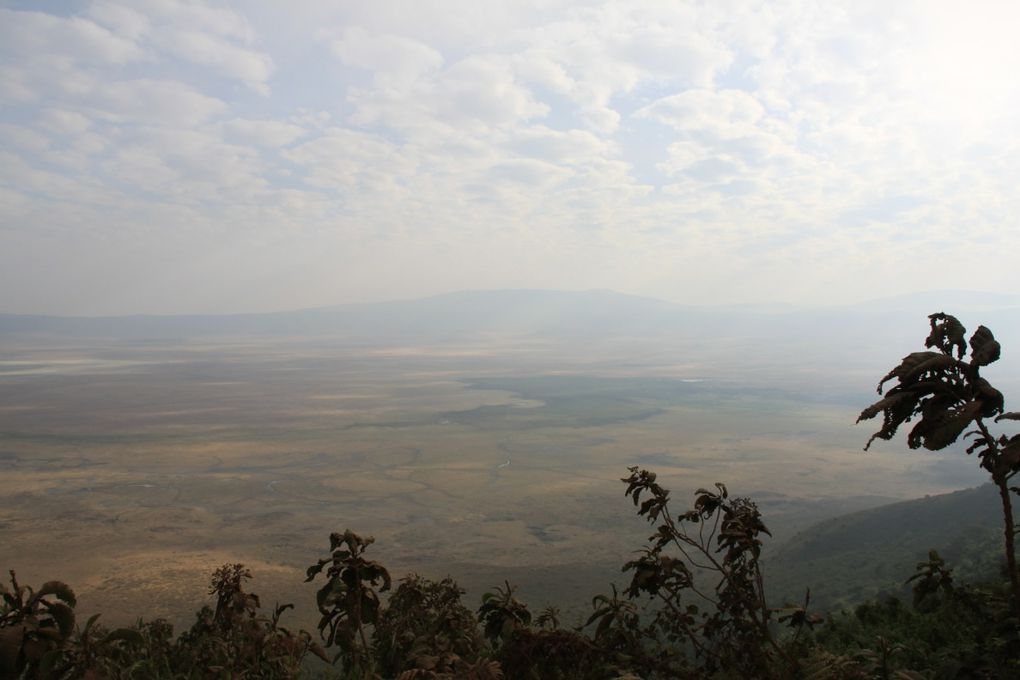 Album - 7.2 Ngorongoro