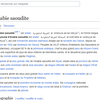 L'Arabie Saoudite arrête des rédacteurs de Wikipédia après avoir prétendument ‘infiltré’ le site 