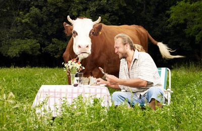 Faut-il manger de la viande tous les jours ?