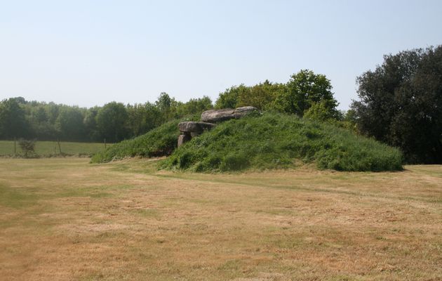 Album - Dolmens et menhirs de Vendée