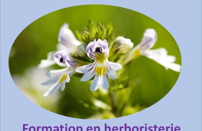 LA MODE DES PLANTES MEDICINALES EXOTIQUES REMISE EN QUESTION