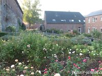 Le concours de roses de Le Roeulx 1/3: la roseraie