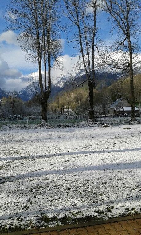 De la neige au réveil le 1er mai ! Heureuse surprise pour les participants !