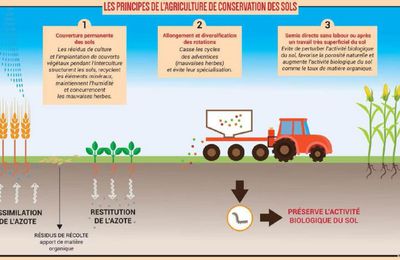Agriculture de conservation des sols et labellisation bas carbone : lettre ouverte