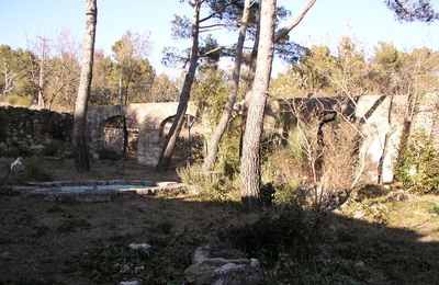 Un bassin, un trou d'eau