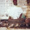 La Poissonnière de Joal - Fadiouth ... Sénégal 11 . 1998