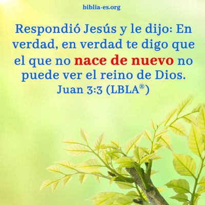 Evangelio de hoy viernes 3 de agosto de 2018