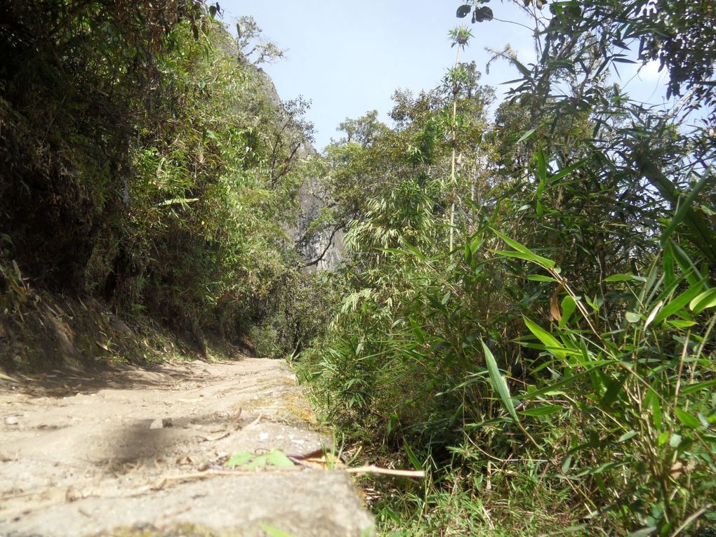 Album - Machu-Picchu