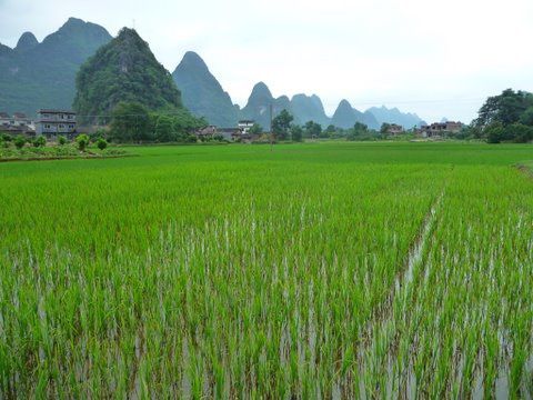 Album - Yangshuo