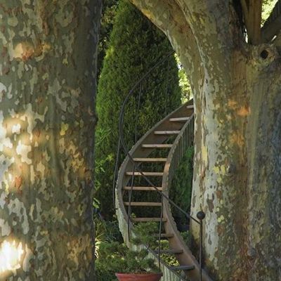 Escaliers - Colimaçon - Arbre - Picture - Free