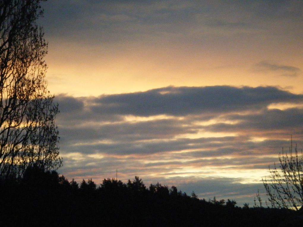 le matin ou le soir la nature nous révèle ses plus beau paysage... 