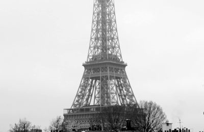 Petit bonheur 