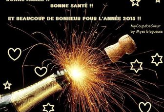 Bonne année 2015 et vos résolutions ?