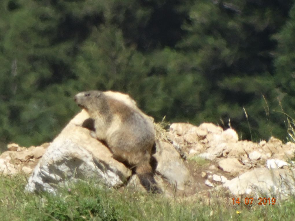 Mes randos : Combe Charbonnière par le vallon des fauges 