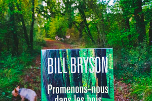 Promenons-nous dans les bois de Bill Bryson