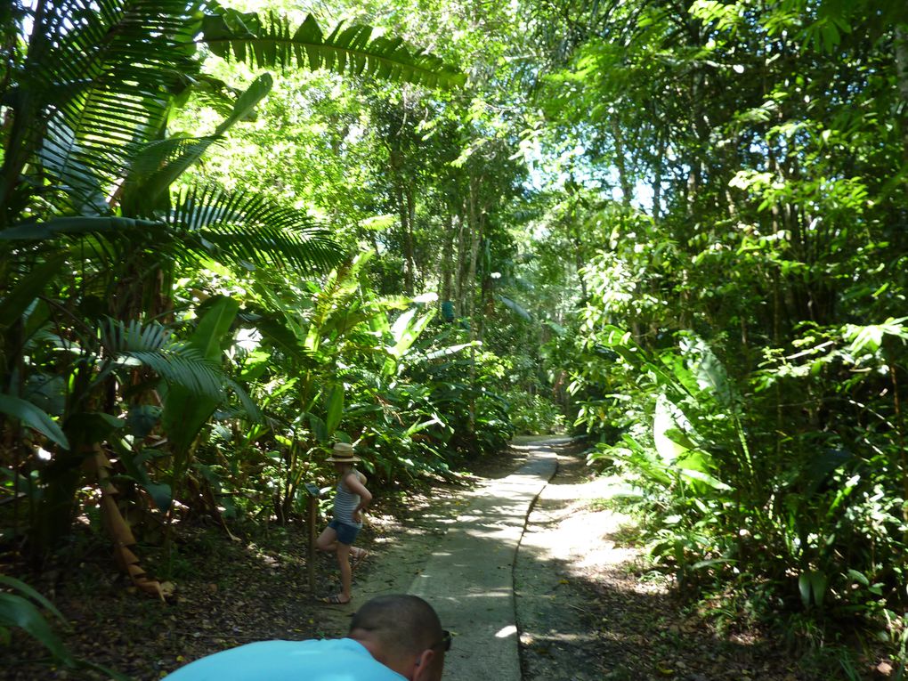 Album - ZOO-de-CAYENNE