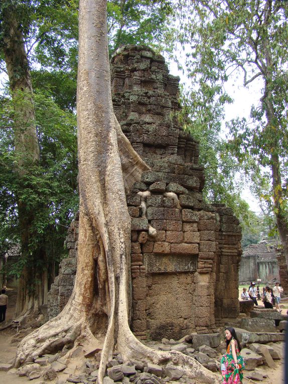 Album - Angkor