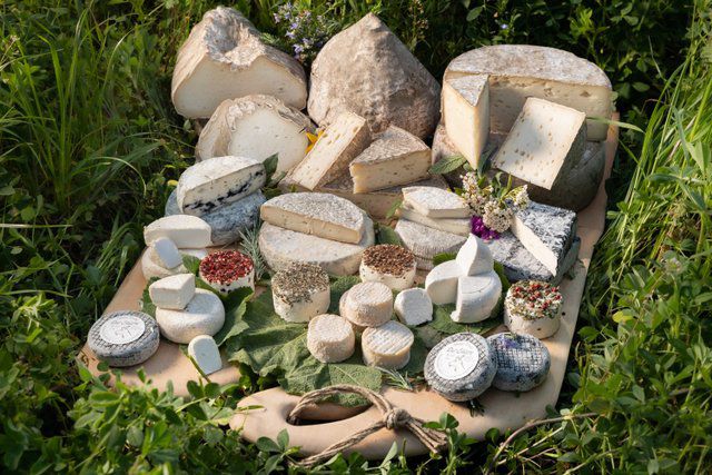 Les fromages et le miel de Julien