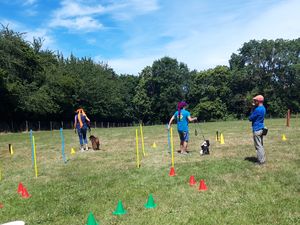 Derniers cours avant l'été
