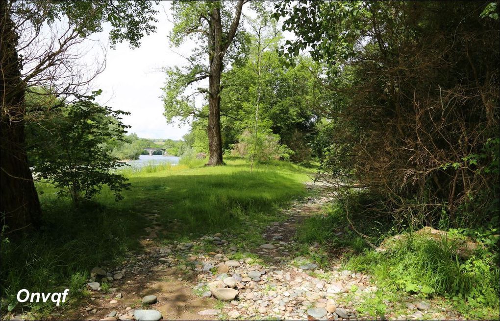 Promenade sur l'île de la Glère, Sauveterre-de-Béarn AAA