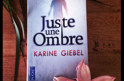 Juste une ombre _ Karine Giebel